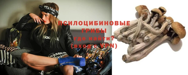 apvp Алзамай