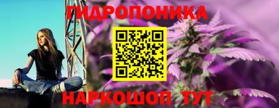 прущие грибы Краснодар