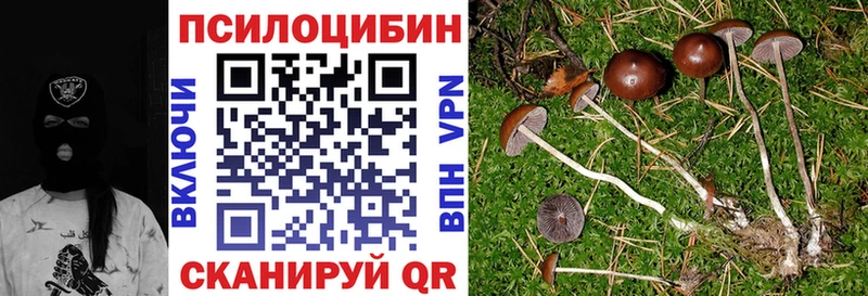 MEGA tor  Егорьевск  Галлюциногенные грибы мухоморы 