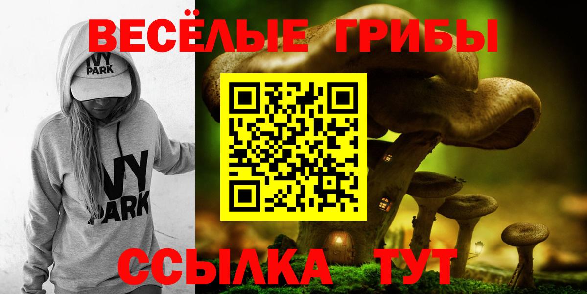 Егорьевск  Псилоцибиновые грибы мухоморы  Псилоцибиновые грибы GOLDEN TEACHER  Вход с VPN 